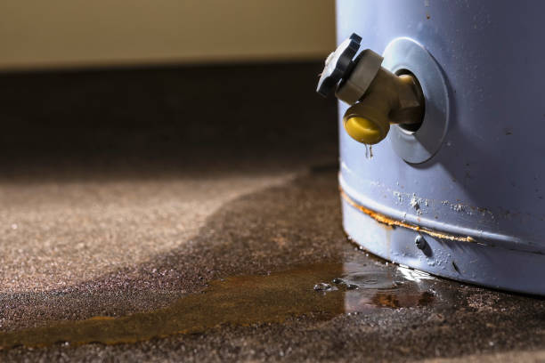 Best 24/7 water damage repair  in Savannah, MO