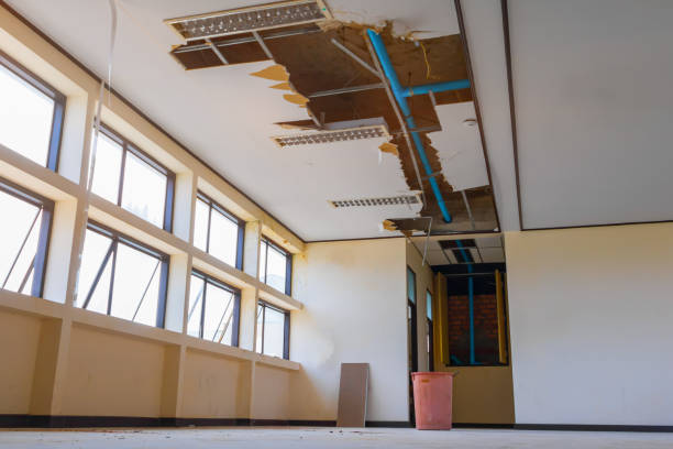 Best Fire Damage Restoration  in Savannah, MO