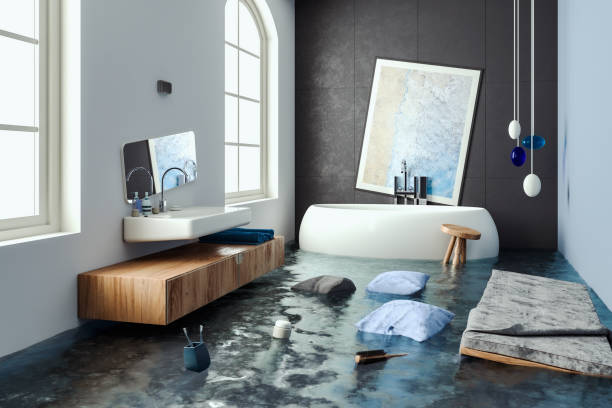 Best Water damage restoration process  in Savannah, MO