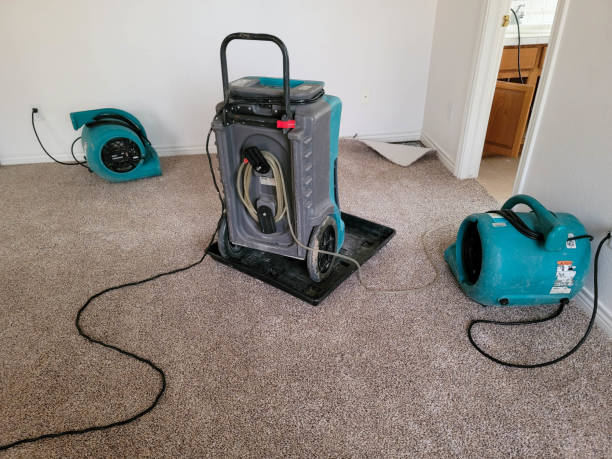 Professional Water damage restoration in Savannah, MO