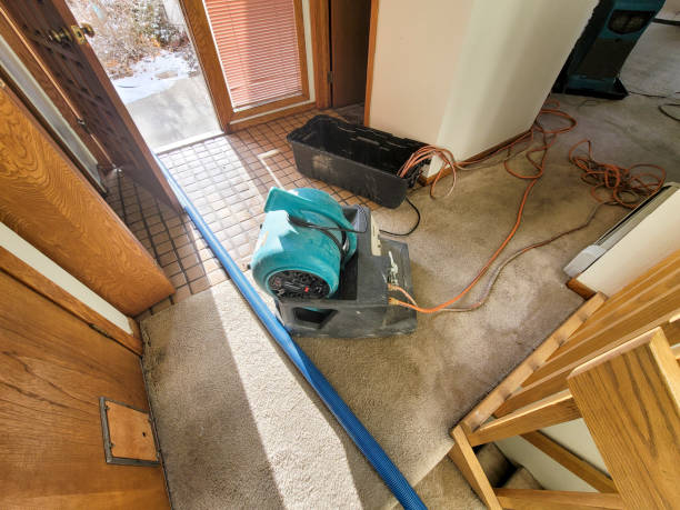 Sewage cleanup and water damage restoration in Savannah, MO