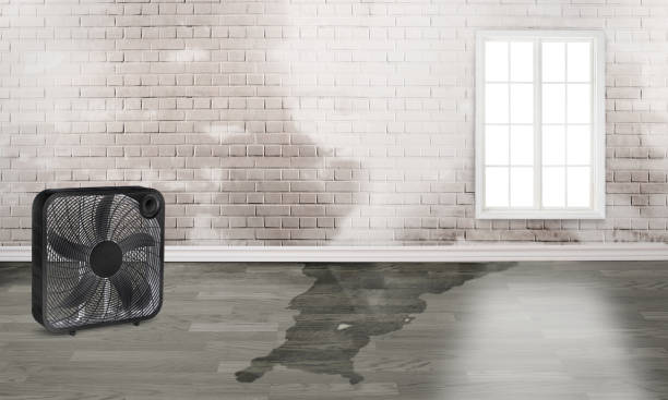 Best Commercial water damage restoration  in Savannah, MO