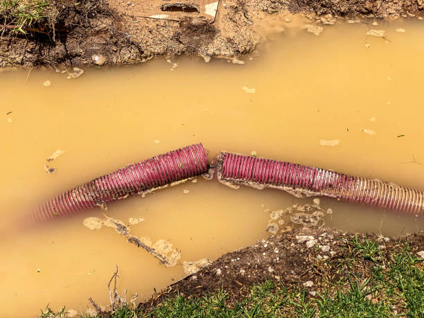 Best 24-hour water damage restoration  in Savannah, MO