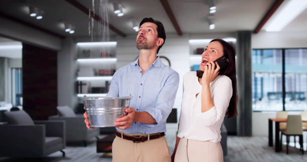 Best Water damage cleanup near me  in Savannah, MO