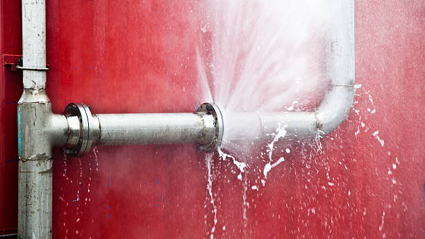 Best Sewage cleanup and water damage restoration  in Savannah, MO